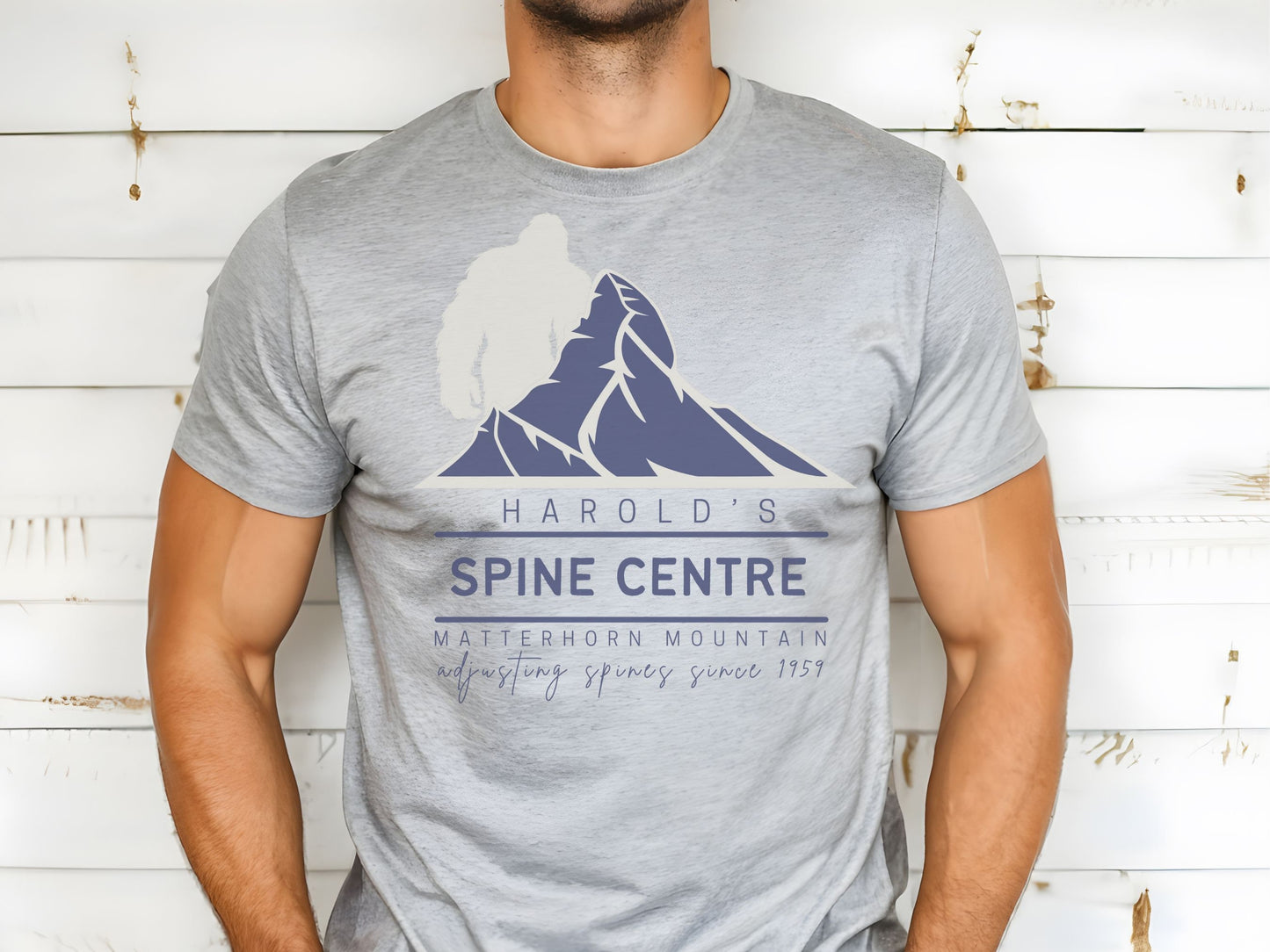 Matterhorn Disney Shirt, Subtle Theme Park Tee, Bella Canvas Unisex Top