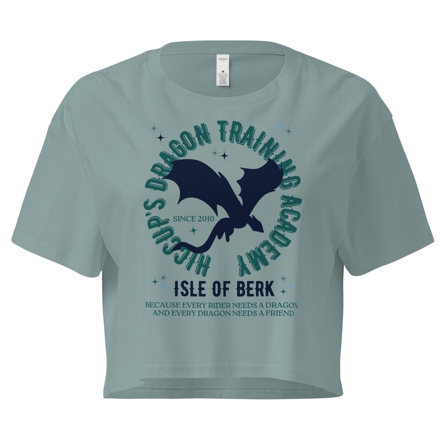 Hiccup's Dragon Training Academy Shirt: Combed Cotton Crop Top