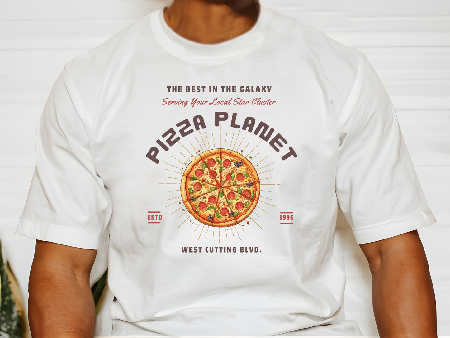 Pizza Planet Bella Canvas T-Shirt, Subtle Disney Dad Shirt