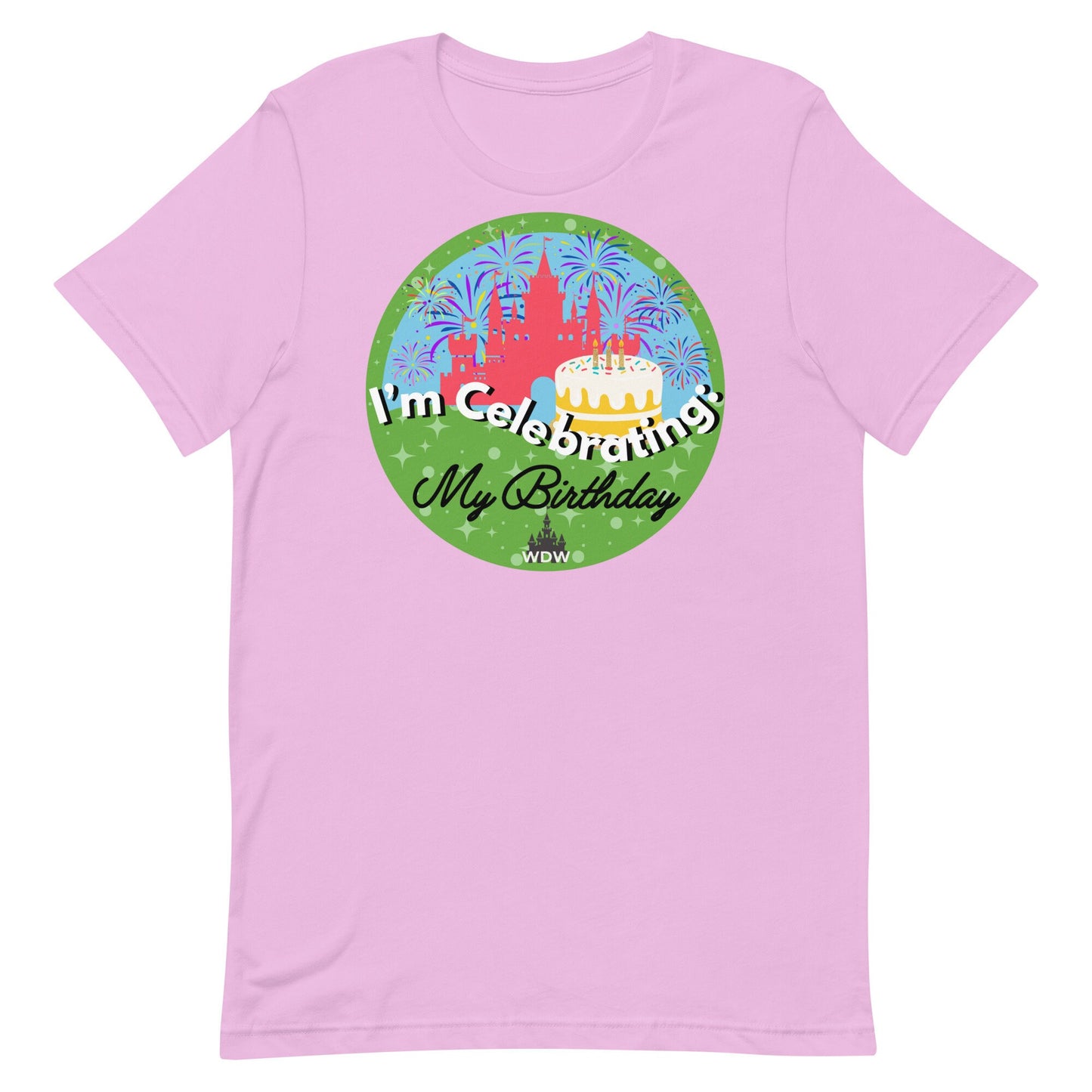 Disney Birthday Shirt, Bella Canvas Tee, Family Celebration