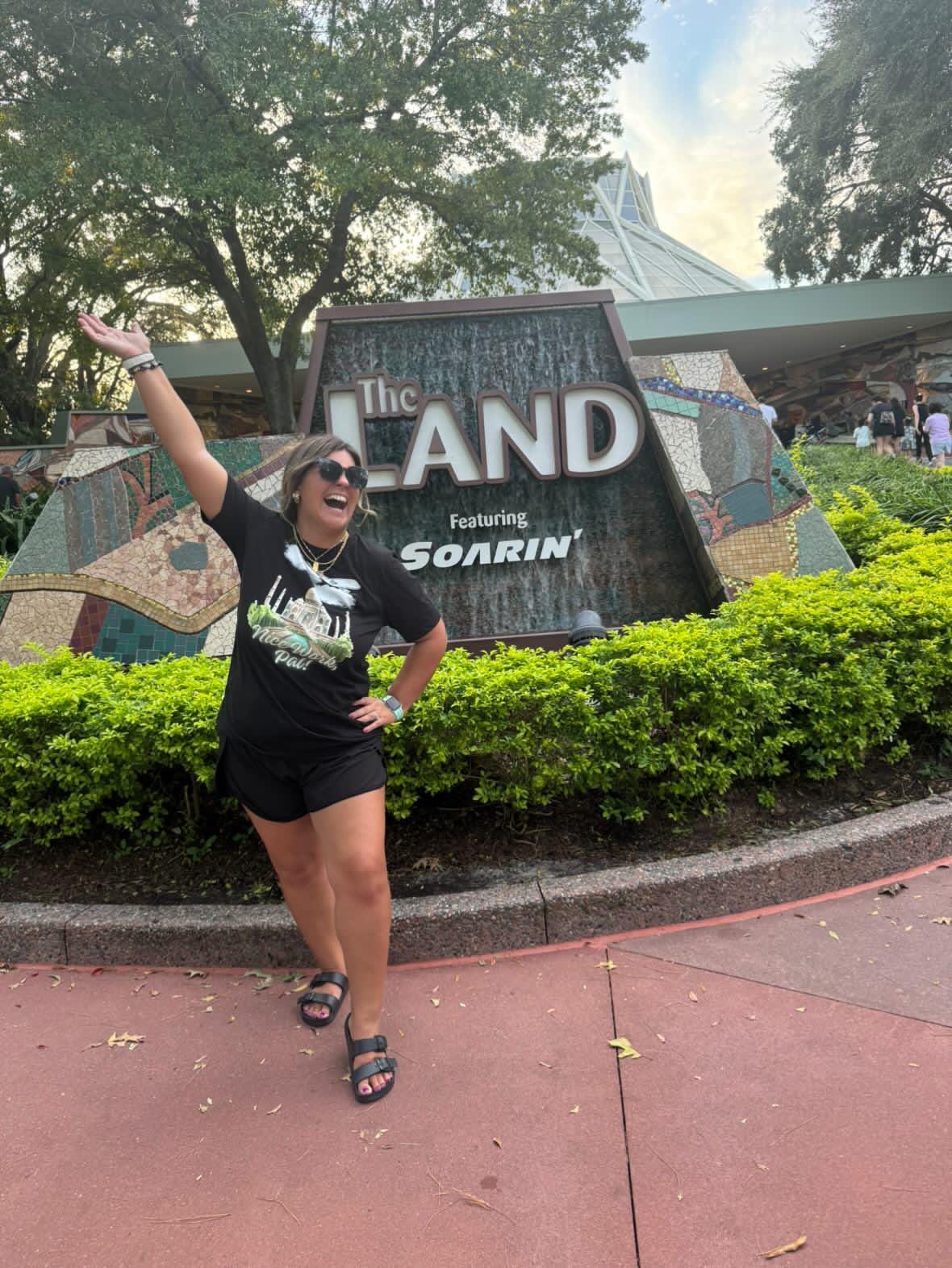 Soarin' Ride Disneyland Vacation Shirt: 'Nice Work, Pal!' Family Tee