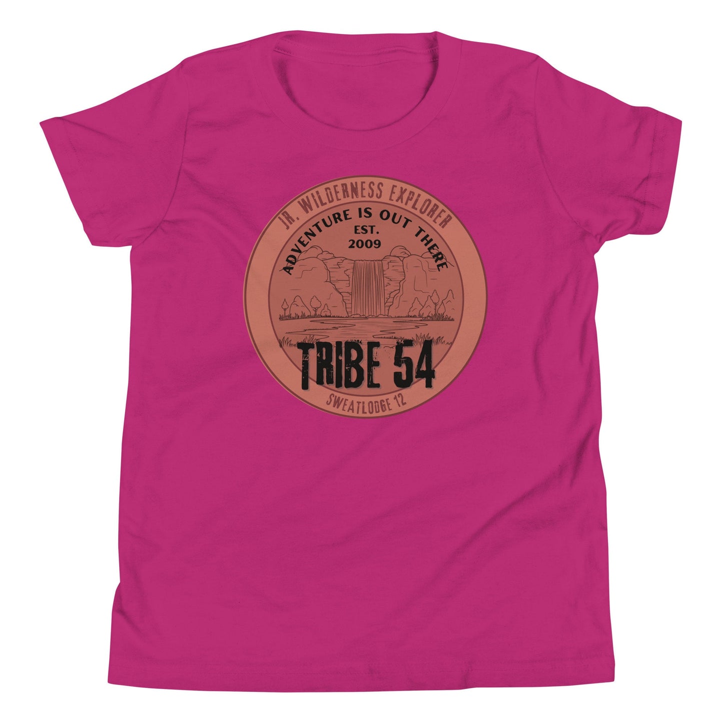 Paradise Falls Disney Youth Tee, Tribe 54 Bella Canvas Shirt