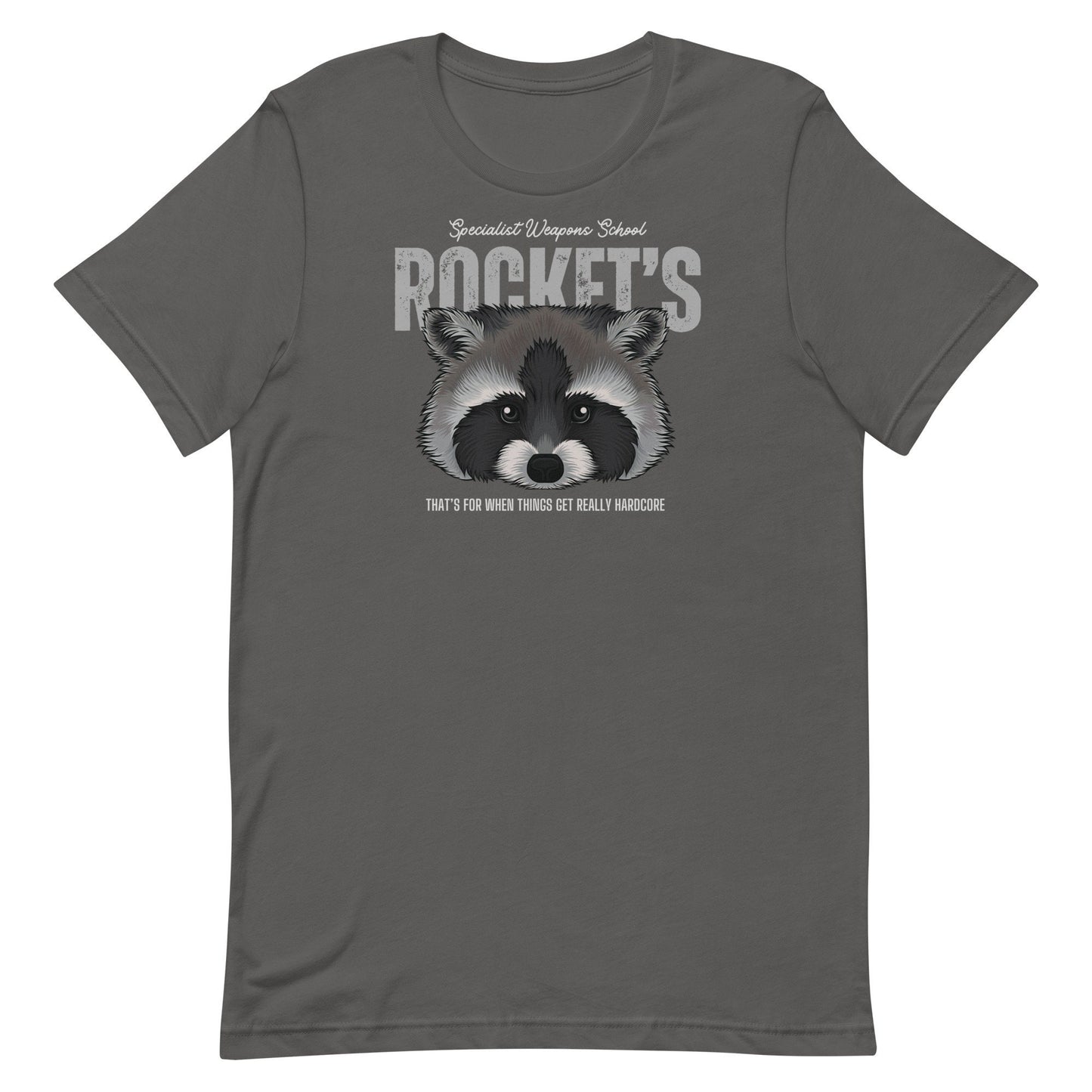 Rocket Guardians Bella Canvas T-Shirt, Subtle Disney Family Tee