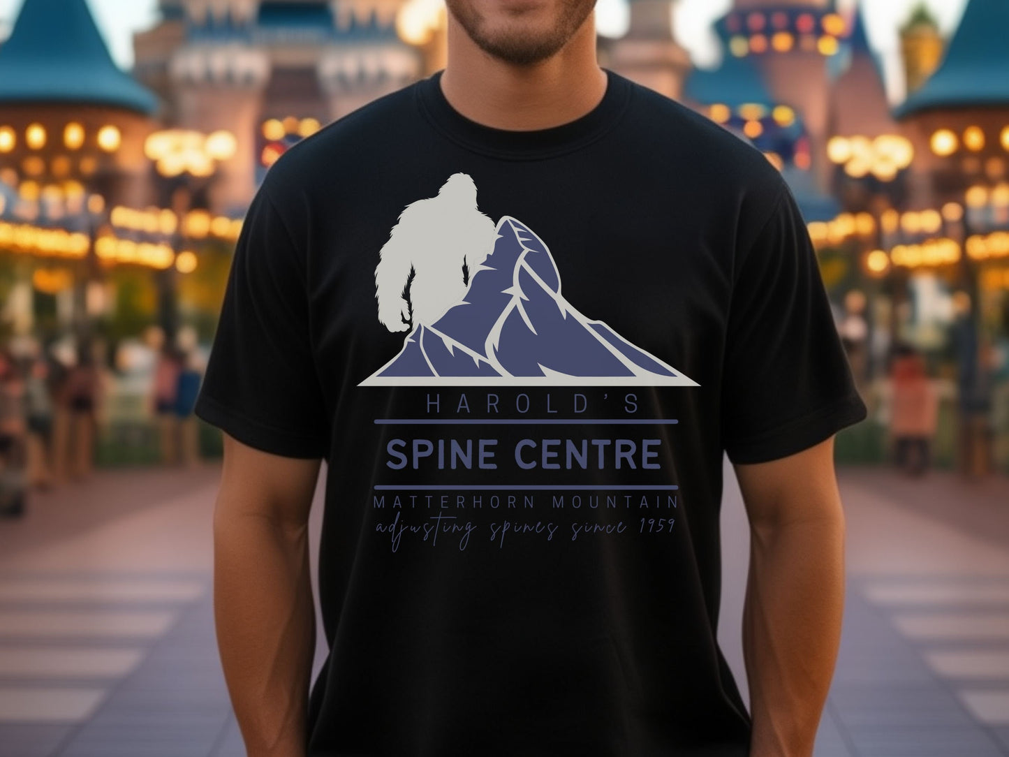 Matterhorn Disney Shirt, Subtle Theme Park Tee, Bella Canvas Unisex Top