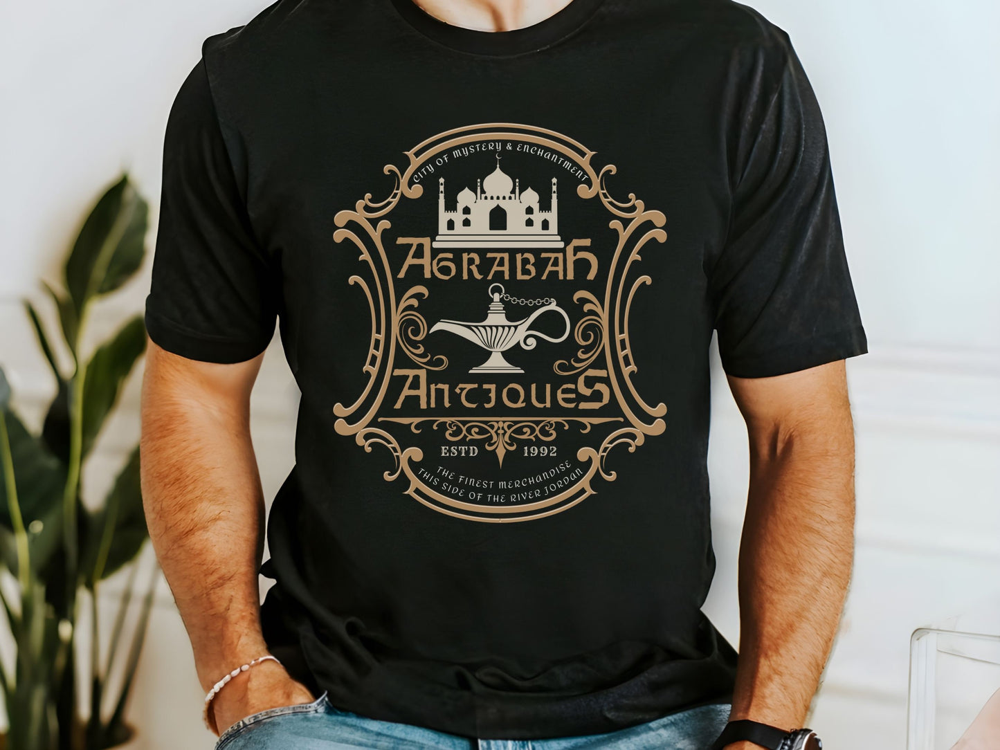 Agrabah Antiques T-Shirt, Subtle Disney Family Tee, Bella Canvas