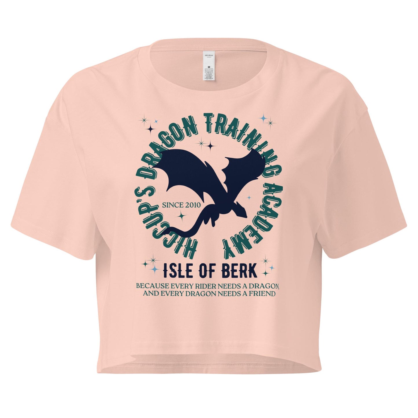Hiccup's Dragon Training Academy Shirt: Combed Cotton Crop Top
