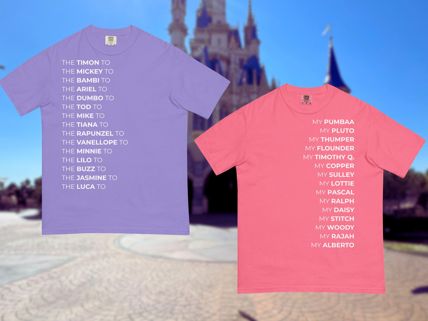 Best Friend Disney Shirt for Pair; Subtle Disney Best Friend Park Shirts, Comfort Colors, Disney Valentine's Day Shirt, Galentine's Day