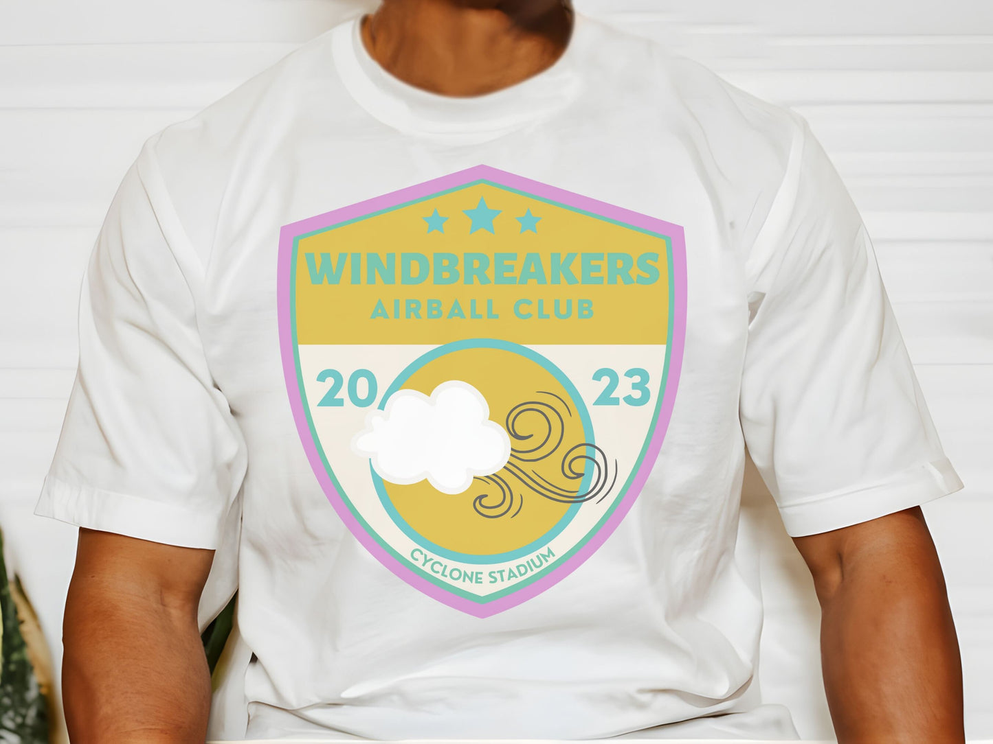 Disney Elemental Windbreakers Airball Bella Canvas T-Shirt, Disney Family Vacation Shirt